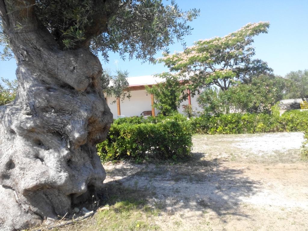 Agriturismo Villa Tommaso Торре дель'Орсо Экстерьер фото